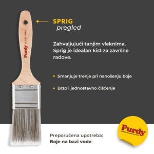 pregled Spring Purdy kist